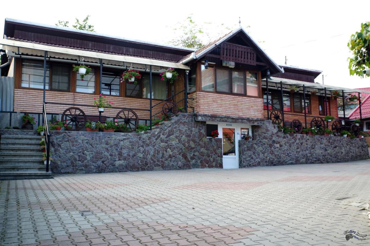 Pensiunea Irina Brad  Buitenkant foto