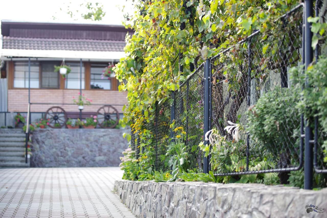 Pensiunea Irina Brad  Buitenkant foto